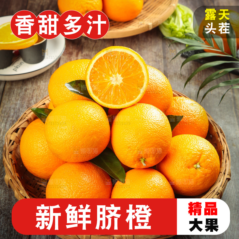 篮子里放着甜橙
