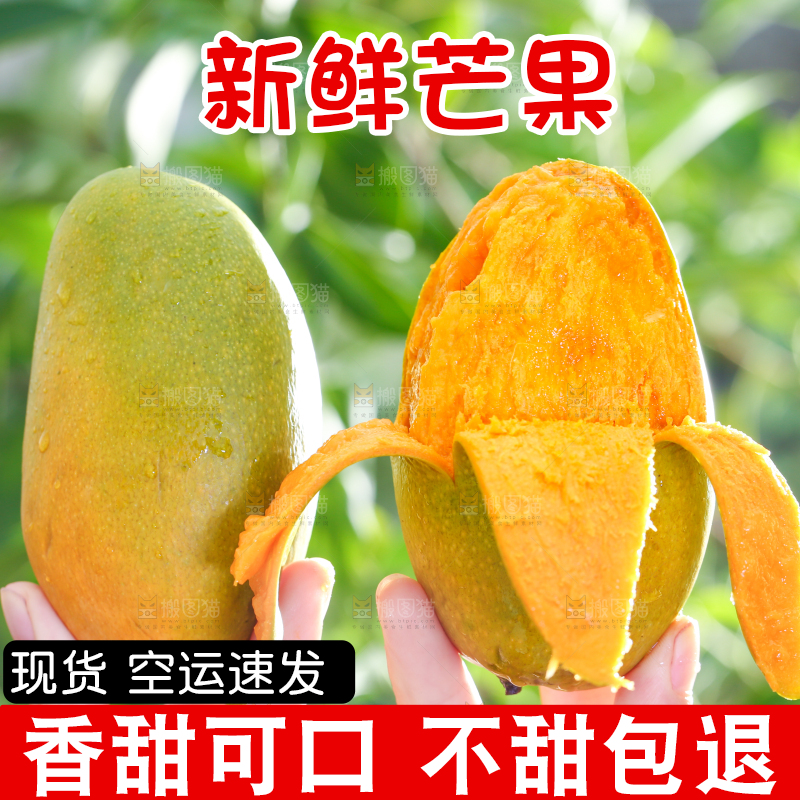 手拿切开的椰香芒果