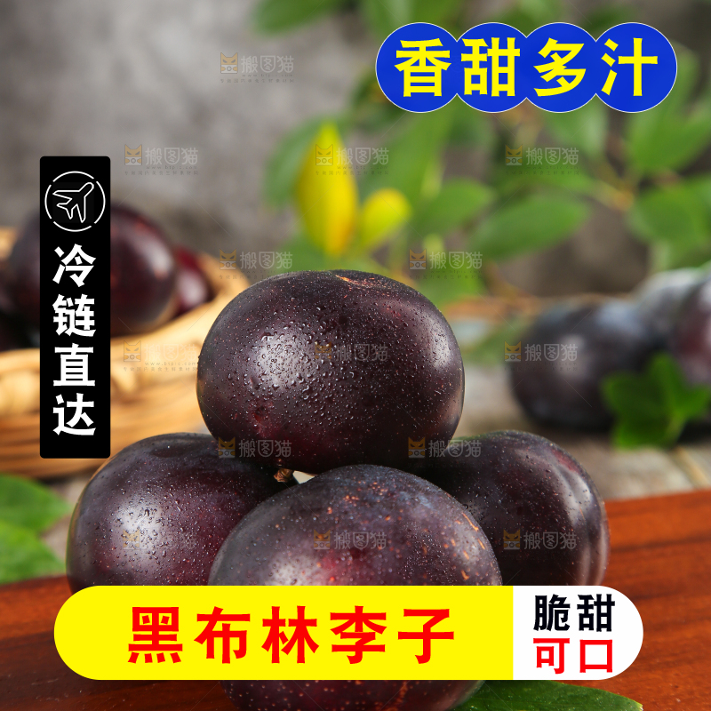 木底上放着智利黑布林