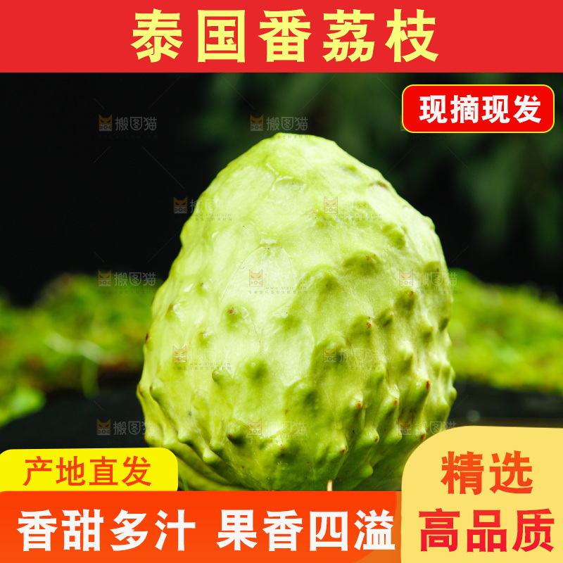 绿草地上摆放着释迦果