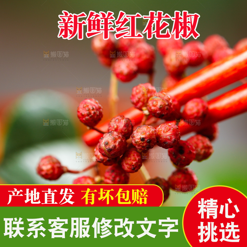 筷子夹着花椒