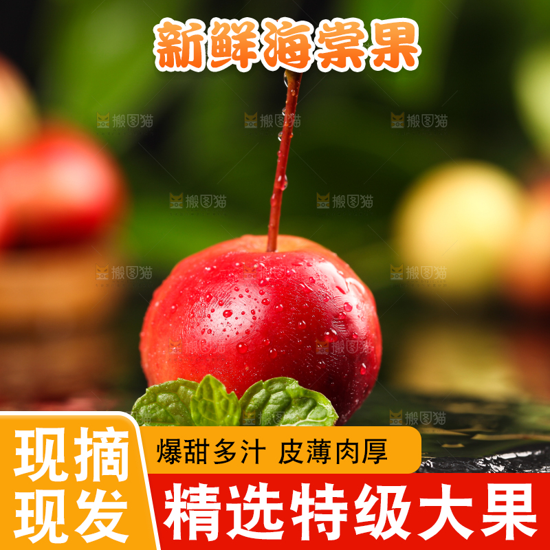 黑石板上的野生海棠果