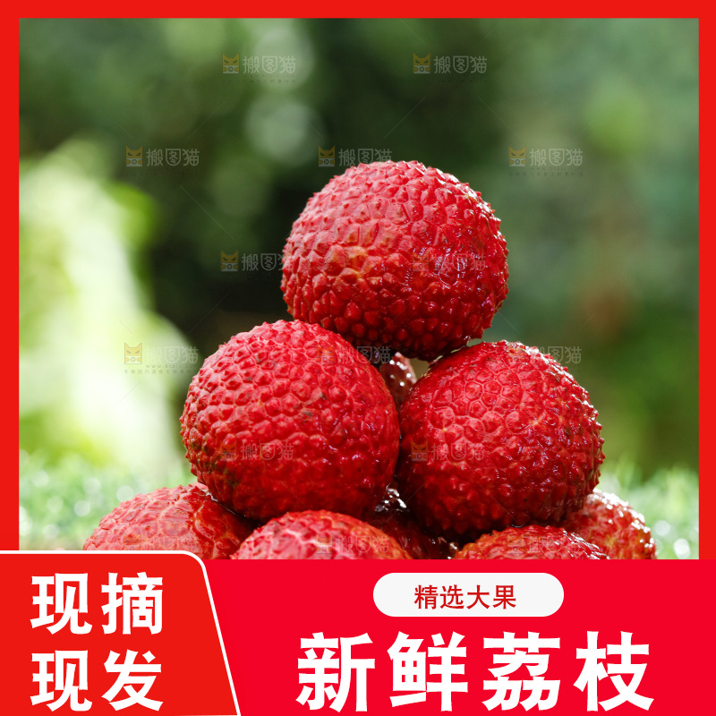 无核荔枝主图