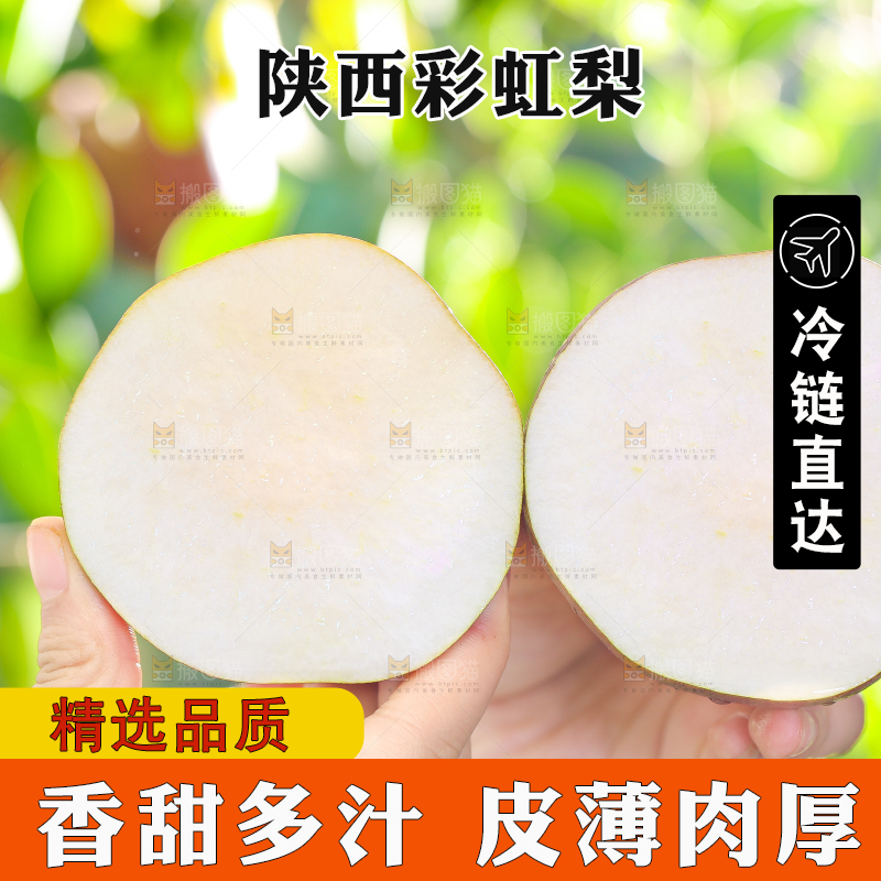 手拿切开的早酥红梨子