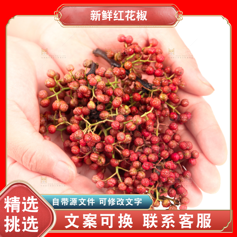 手拿新鲜花椒