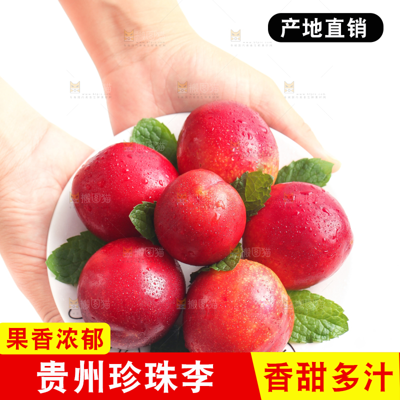 手端一盘珍珠李