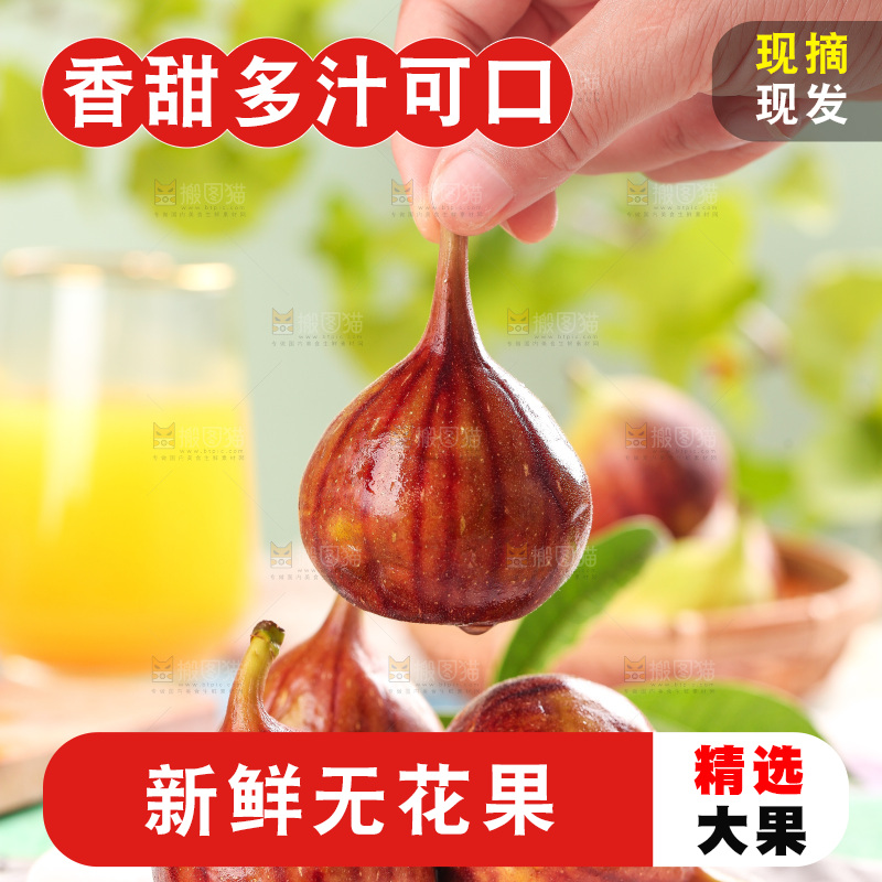 手拿紫皮无花果