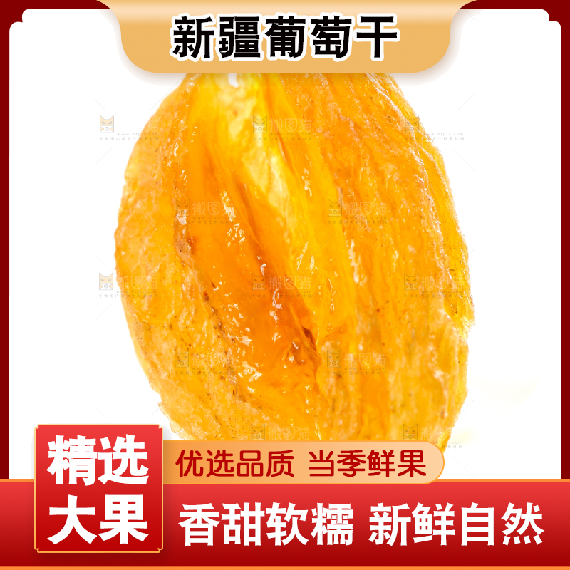白底上的树上黄葡萄干