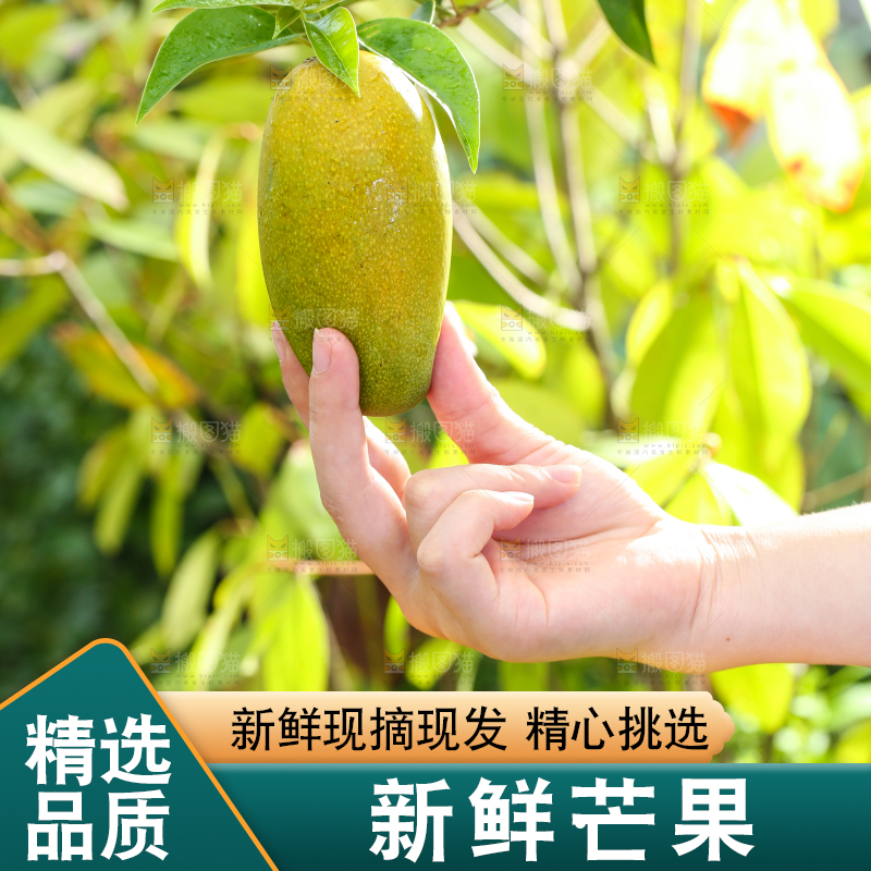 手拿切开的椰香芒果