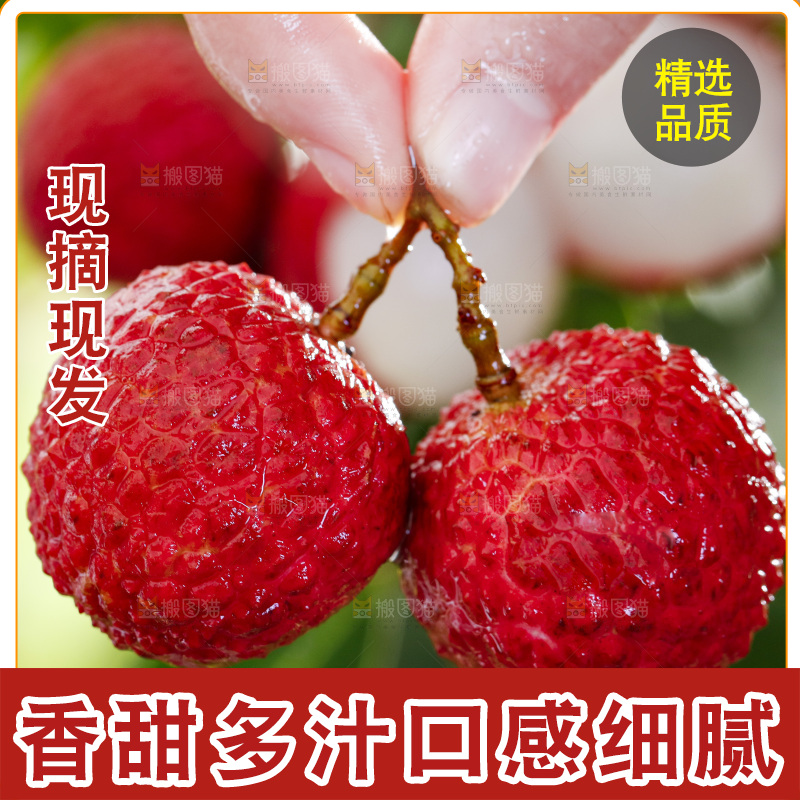 手拿荔枝
