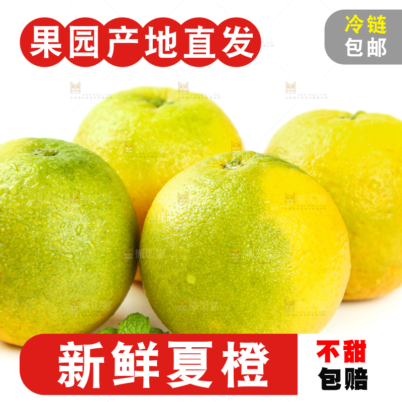 白底上的夏橙
