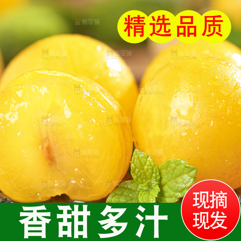黑石板上放着一堆九峰山黄金奈李