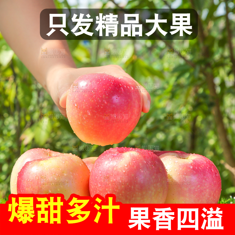 手拿嘎啦苹果