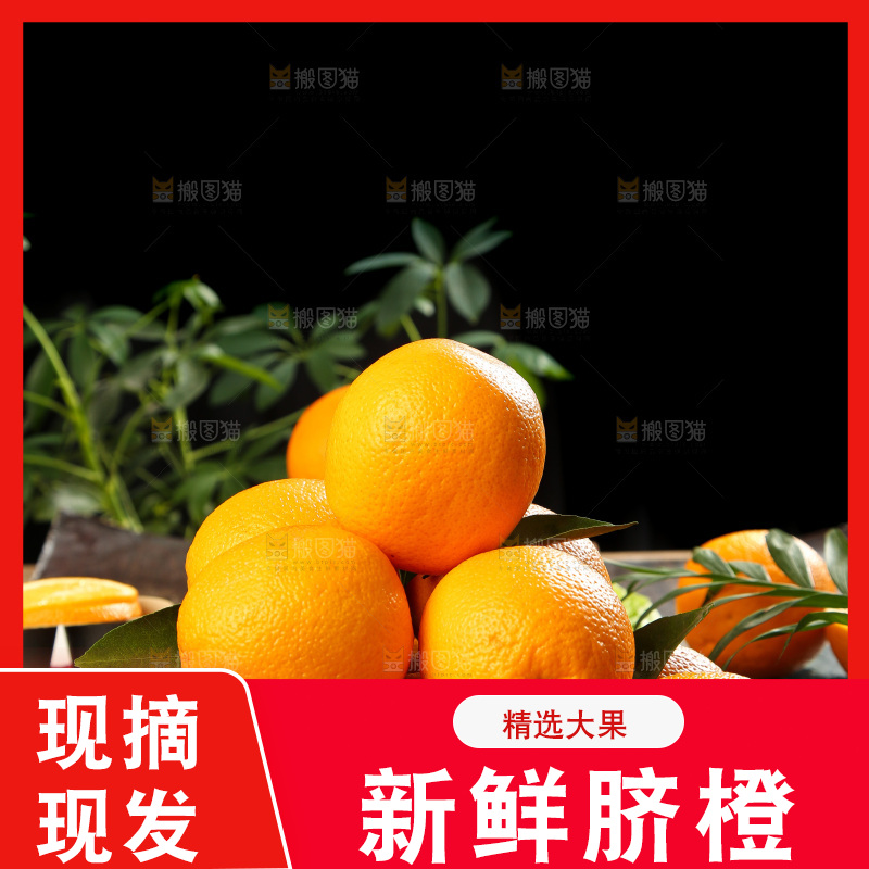 篮子里放着甜橙