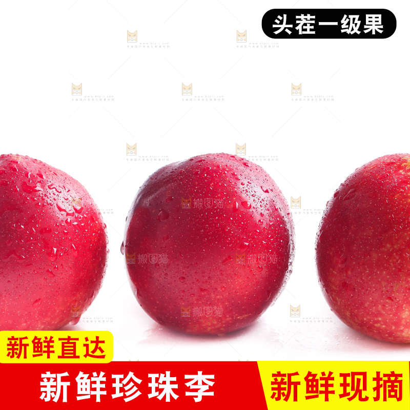 白底上的珍珠李