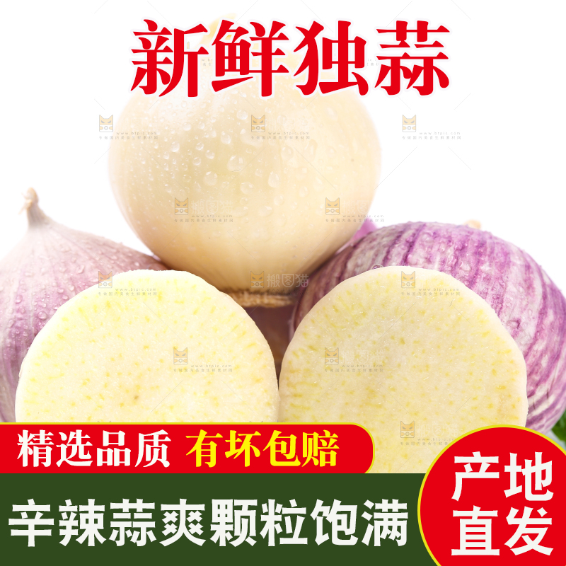 白底上摆放着紫皮独蒜