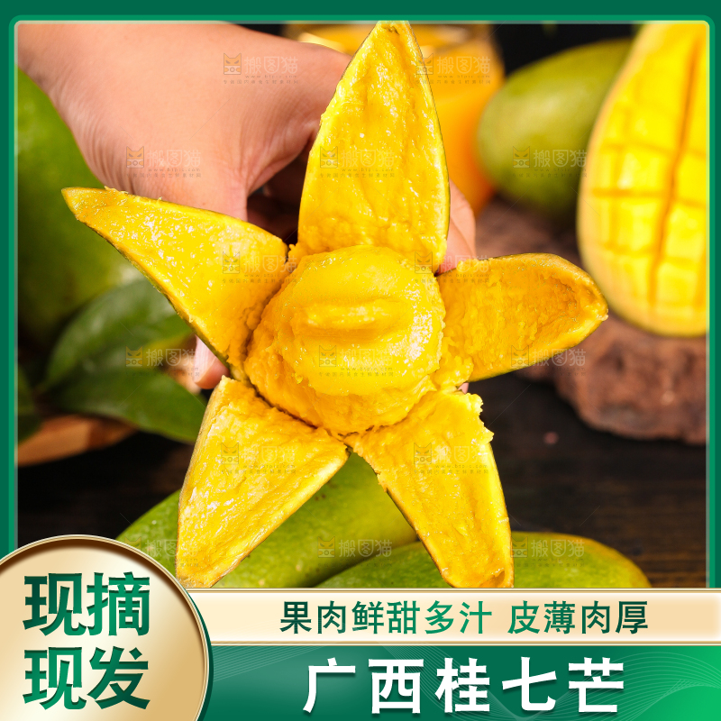 手拿剥皮的桂七芒