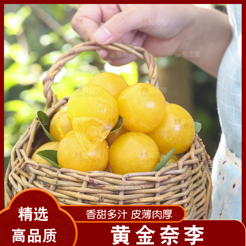 手拿一筐黄金奈李