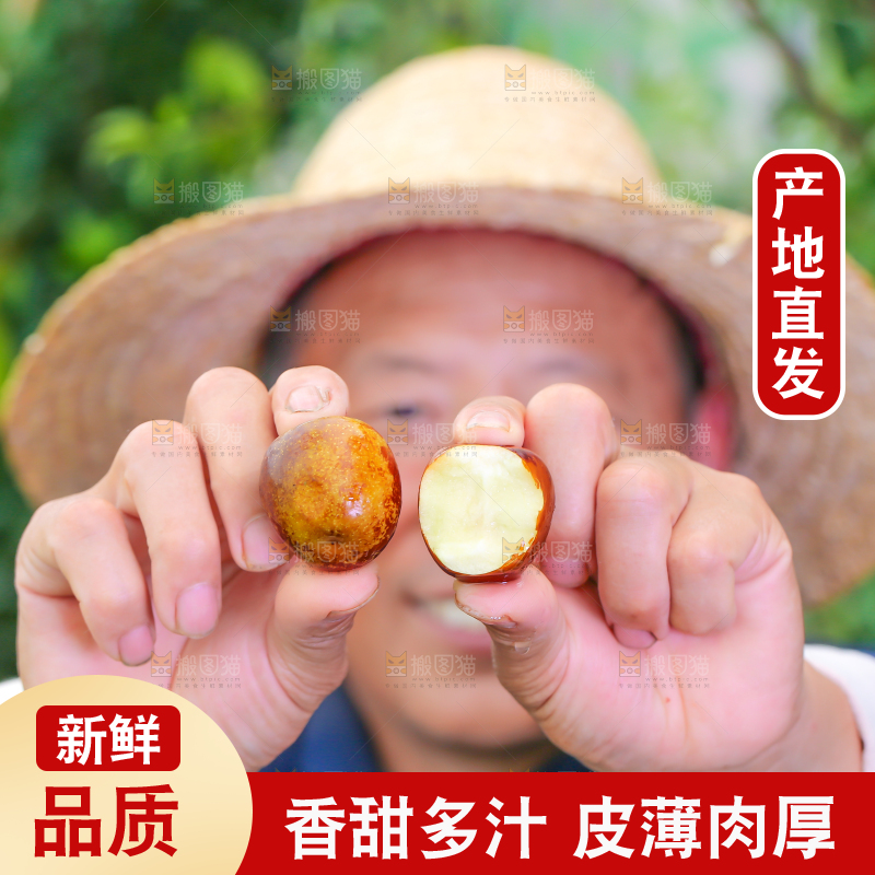 农民手里拿着冬枣