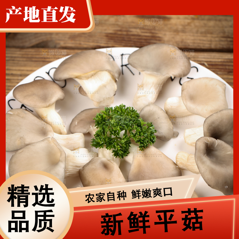 盘子里装着平菇