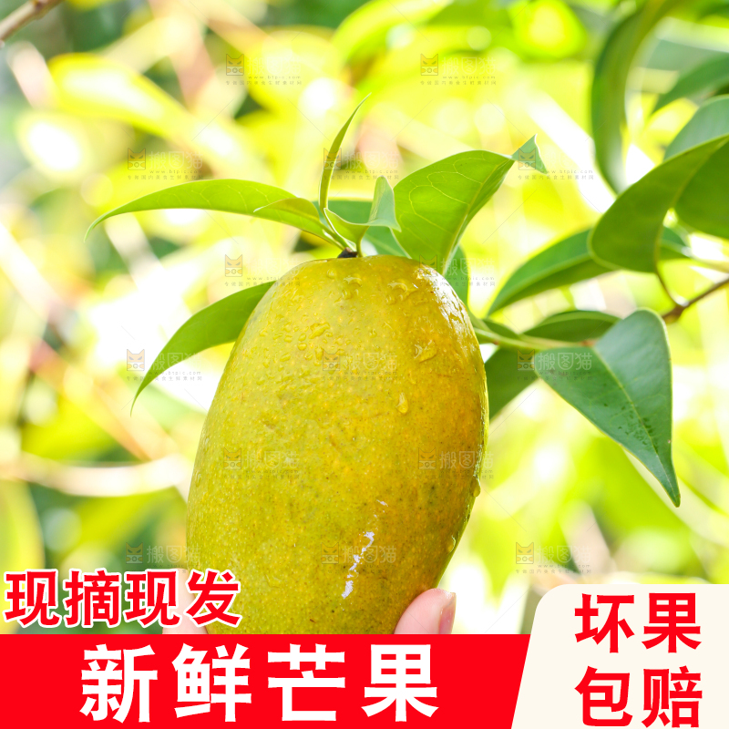 手拿切开的椰香芒果