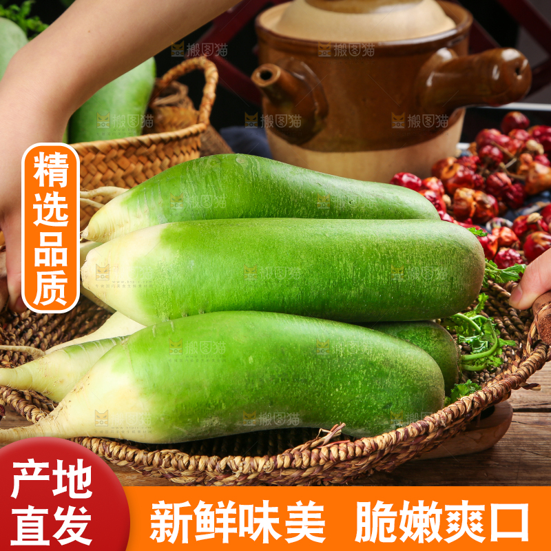 篮子里放着绿心萝卜