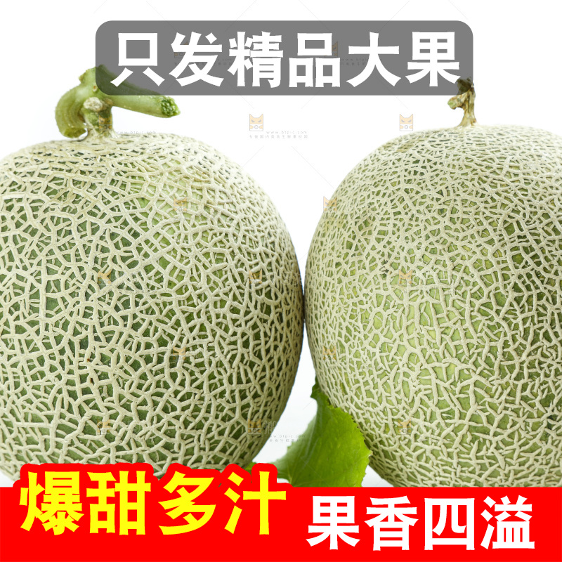 白底上的玫珑瓜