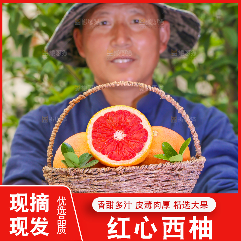 农民手里捧着一筐红心西柚