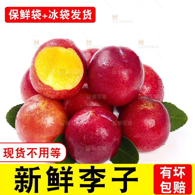 白底上的智利珍珠李
