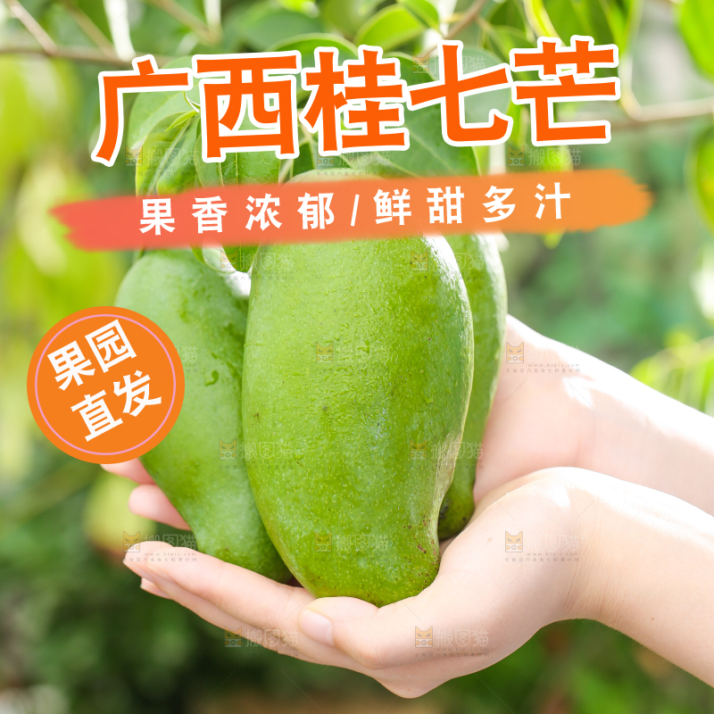 手拿田东桂七芒