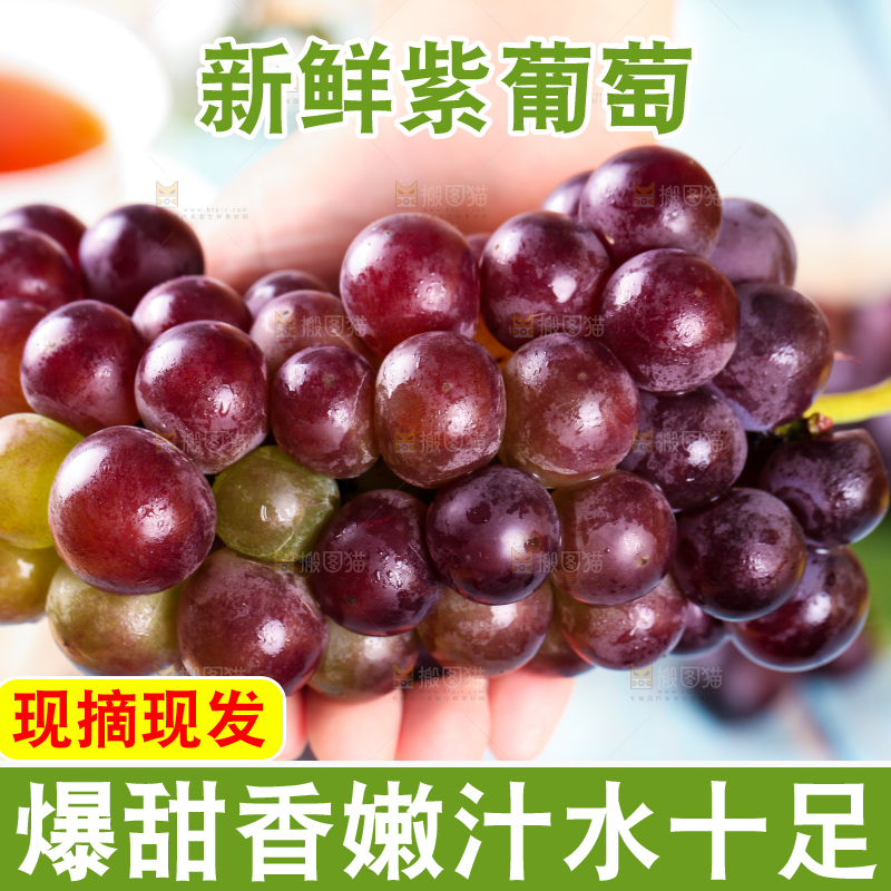 手拿东北巨峰葡萄