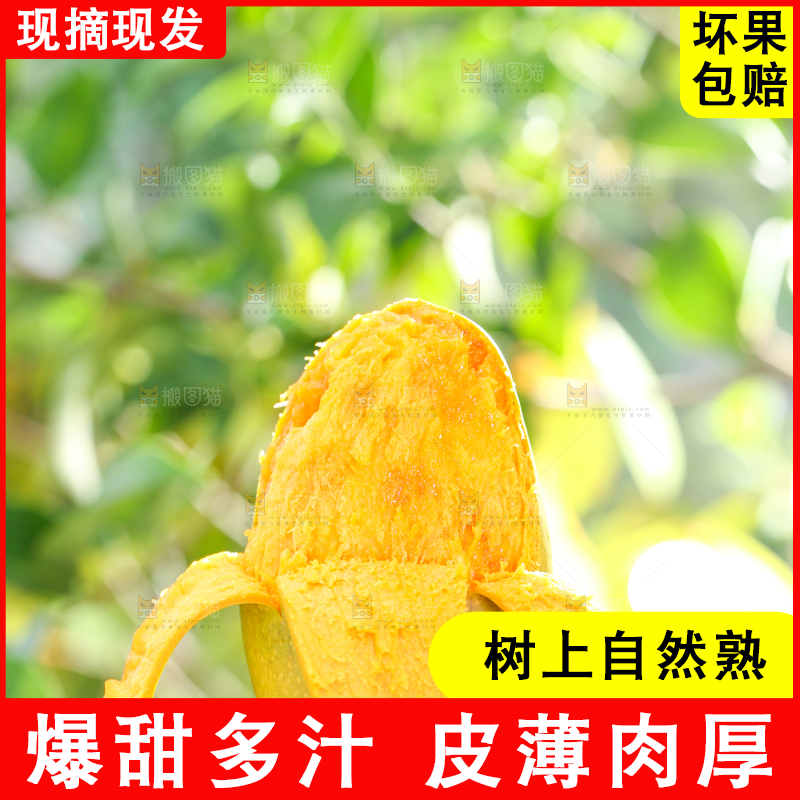 手拿切开的椰香芒果
