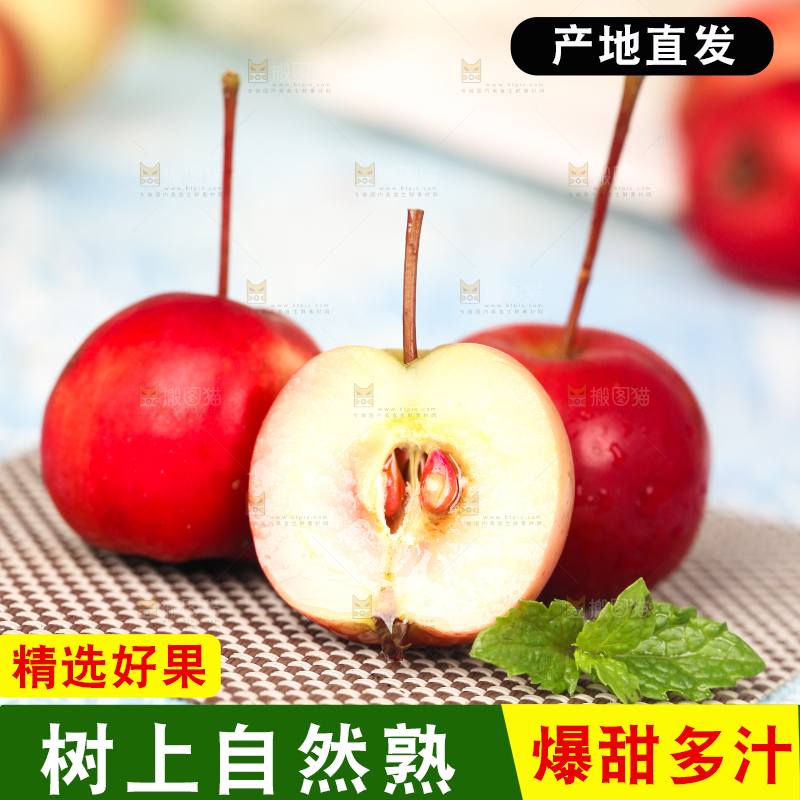 浅底上的东北海棠果