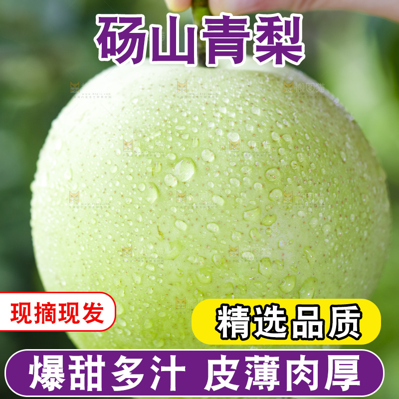 手拿砀山青皮翠冠梨