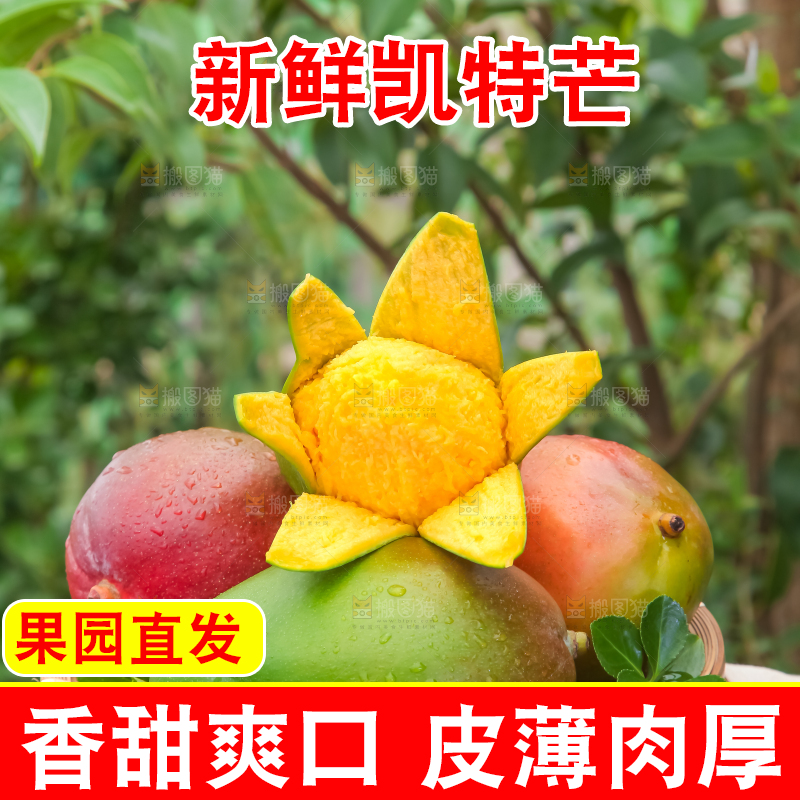 手拿一盘剥皮的凯特芒