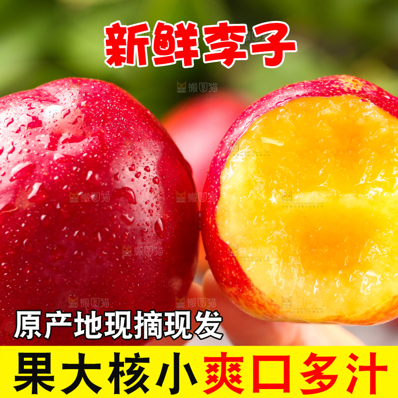 手拿咬开的红宝石李子