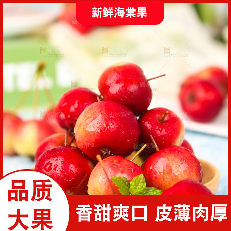 浅底上的海棠果