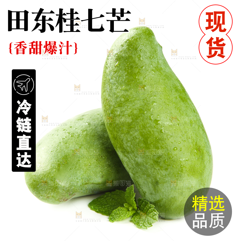 白底上的桂七芒