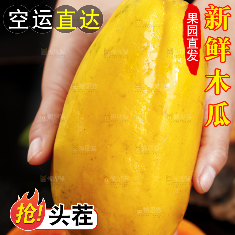 黑底上手拿着的冰糖心木瓜