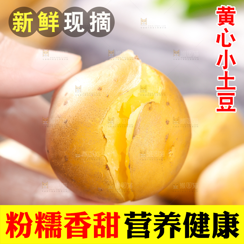 手拿黄心熟土豆
