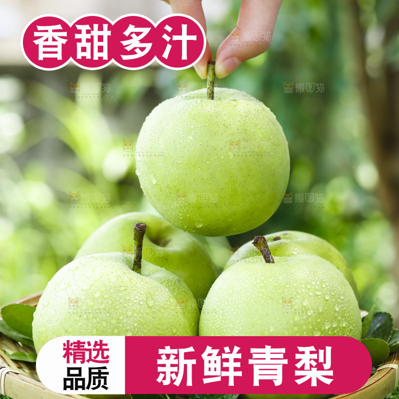 手拿砀山青皮翠冠梨