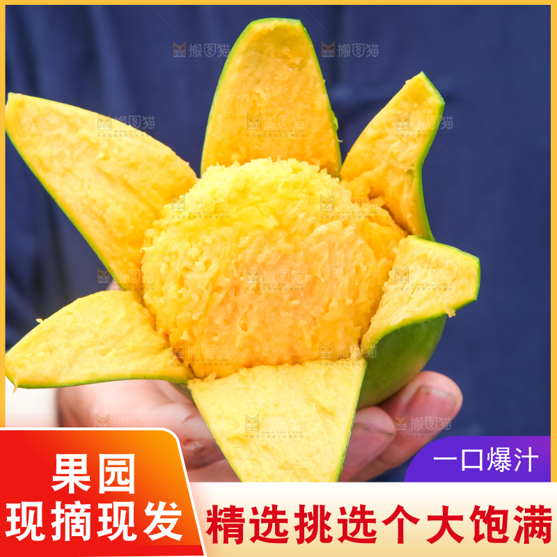 手拿剥皮的四川凯特芒
