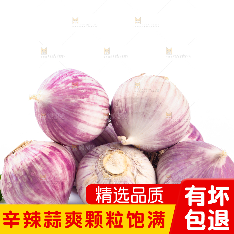 白底上摆放着独蒜