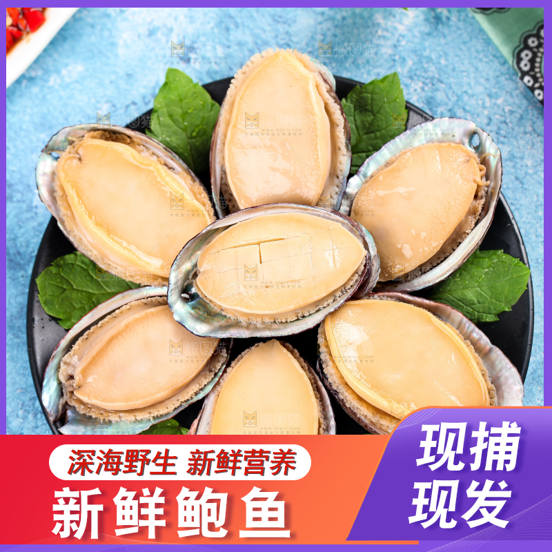 蓝底上放着一盘鲍鱼