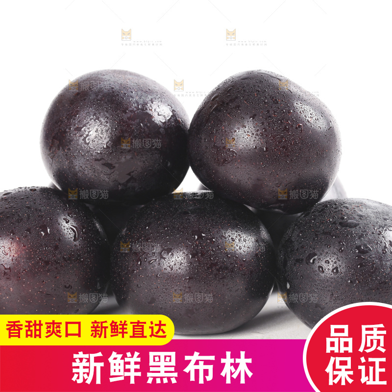 白底上的黄肉黑布李
