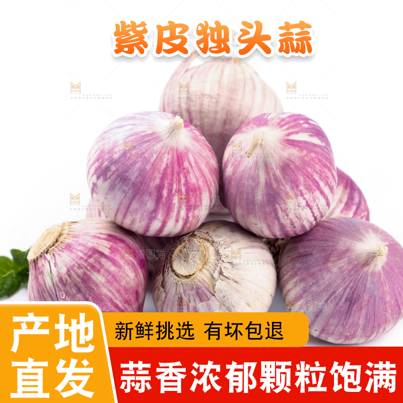 白底上摆放着独蒜