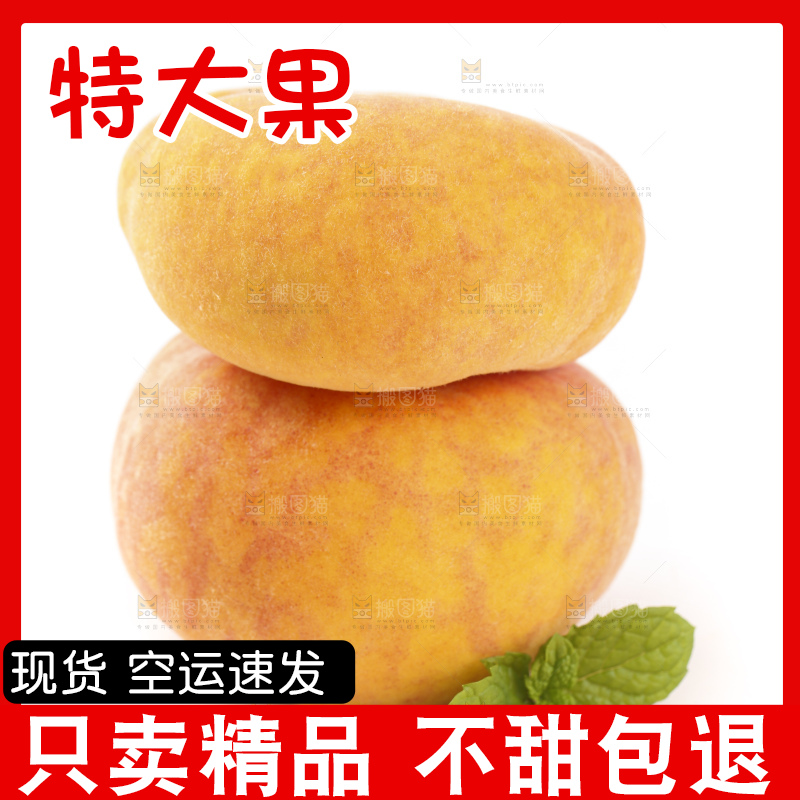 白底上的黄金蟠桃