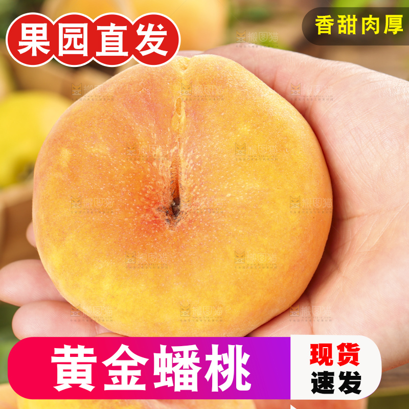 木底上手拿一个黄蟠桃