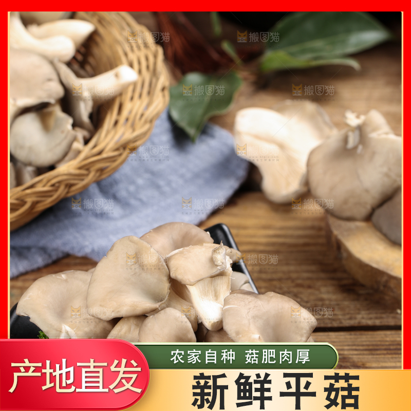盘子里装着平菇