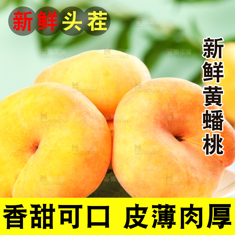 蓝底上放着一盘黄金蟠桃